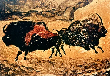 Rock painting of bison